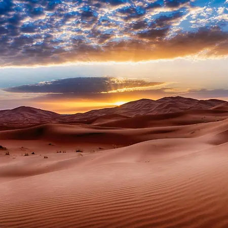 De La Playa * Торевьиа